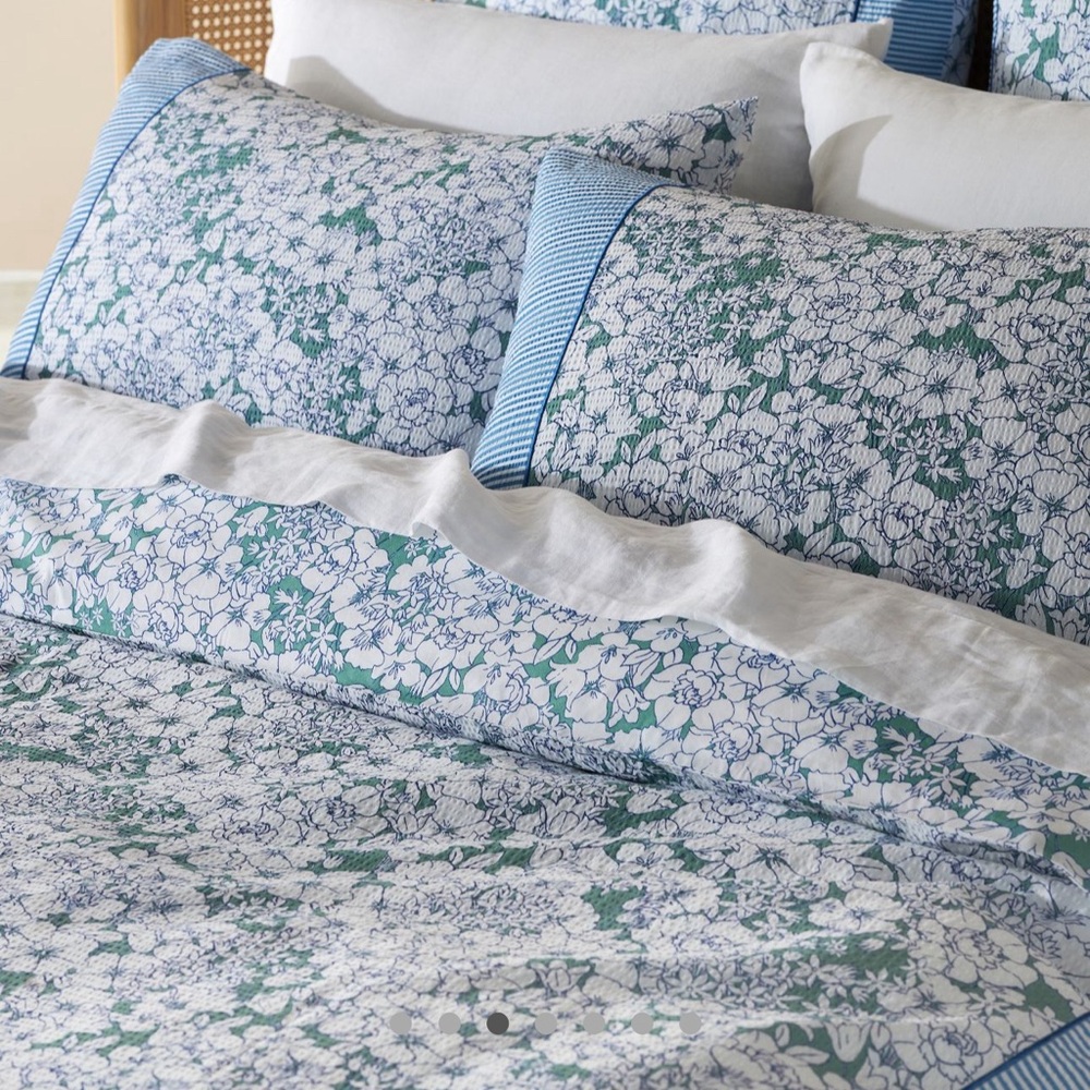 Anthropologie QUEEN Nalini Percale Ducet NWOT
